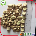 2016 Crop Dry Broad Beans